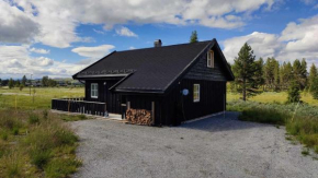 Bjørkefinken by Norgesbooking - cabin for hiking and skiing